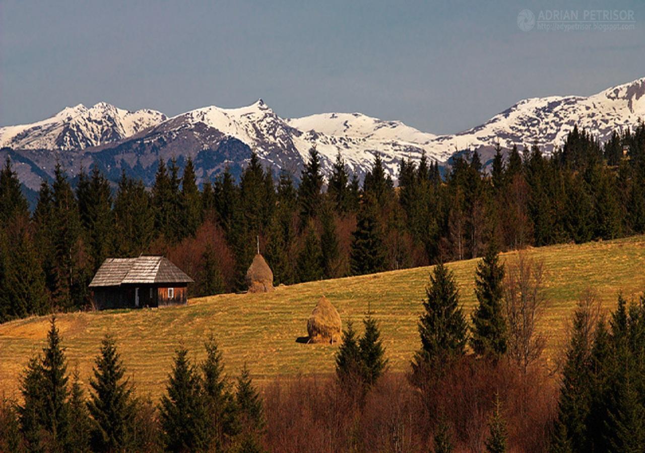 Popasul Transilvania Piatra Fantanele Ngoại thất bức ảnh
