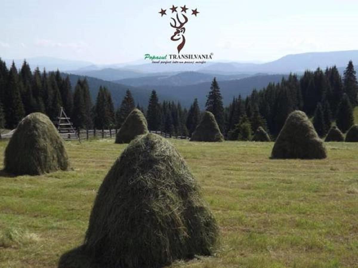 Popasul Transilvania Piatra Fantanele Ngoại thất bức ảnh
